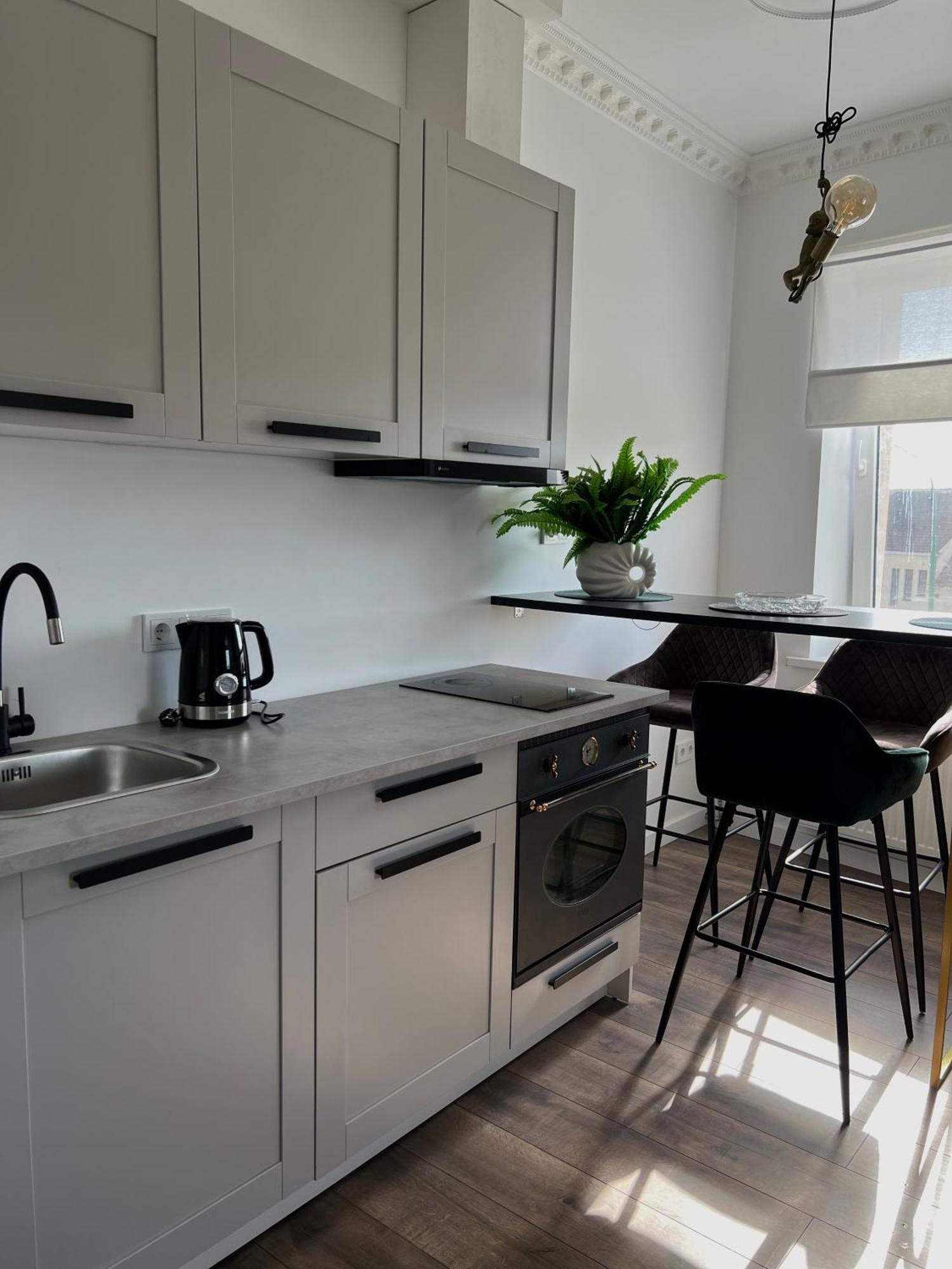 Centre Monkey Apartment Klaipeda